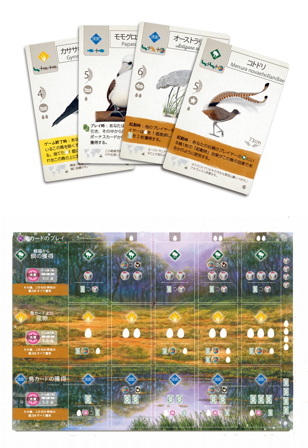 ウイングスパン拡張：大洋の翼』日本語版、2月4日発売 – Table Games in the World